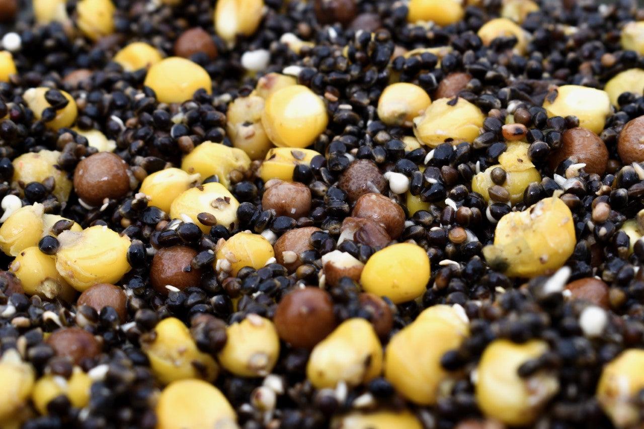 Hemp & Maize & Maples - Impact Particles 