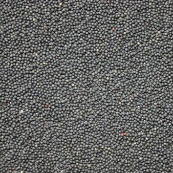 Black Rapeseed ** Free Delivery ** - Impact Particles 